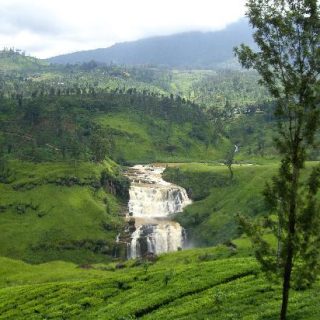 6 Days / 5 Nights Sri Lanka Tour Package